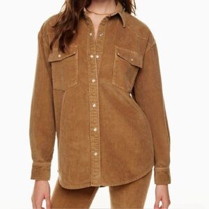 Aritzia Denim Forum Brown Button Down Shirt